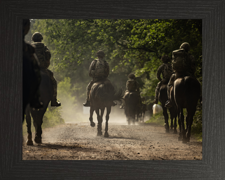 British Army Household Cavalry Horses Longmoor June 2026