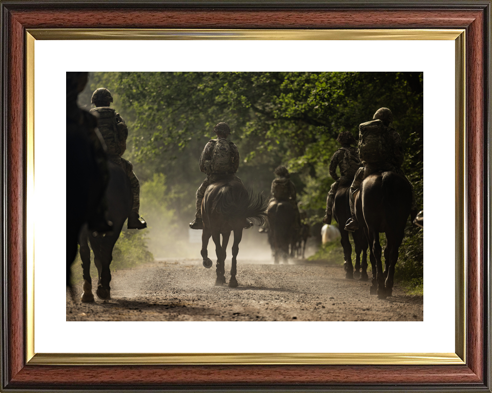 British Army Household Cavalry Horses Longmoor June 2026