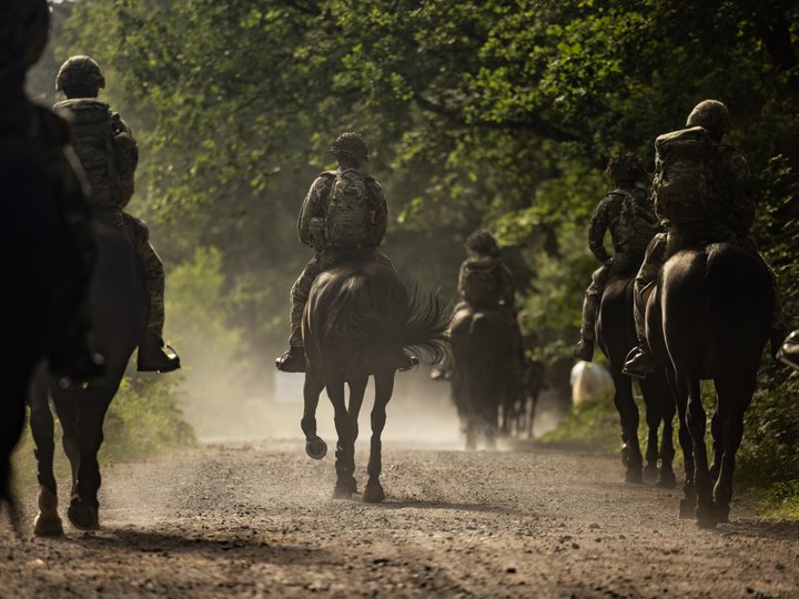 British Army Household Cavalry Horses Longmoor June 2026