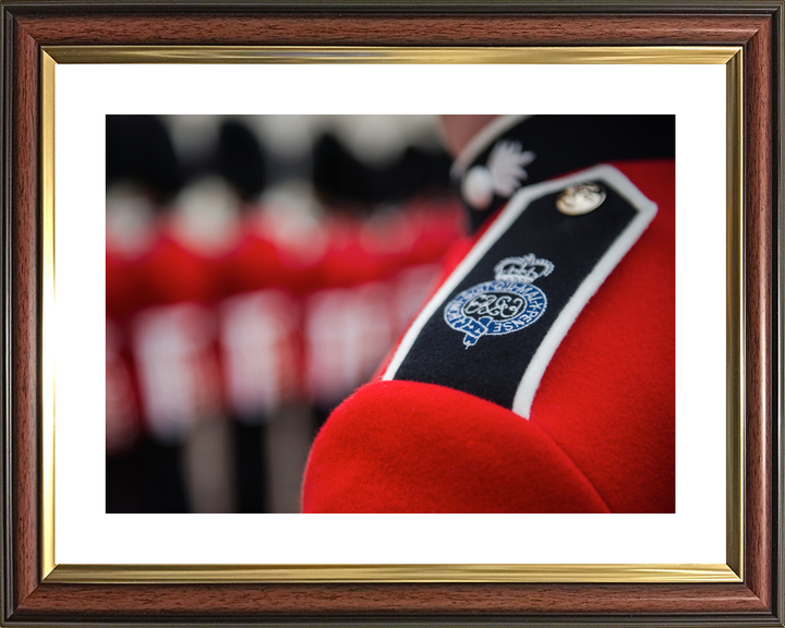 British Army Grenadier Guards Tunic Shoulder Badge c2013