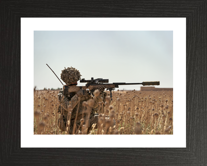 British Army 2 Royal Anglian Sniper L115A3 Helmand May 2014