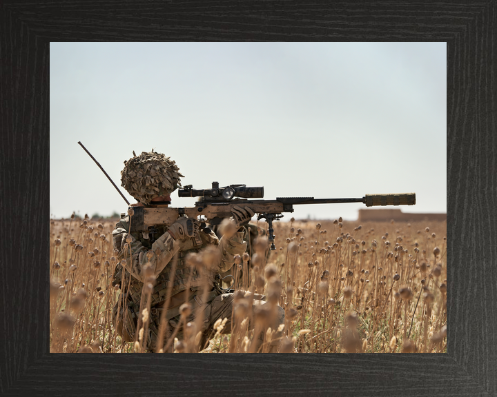 British Army 2 Royal Anglian Sniper L115A3 Helmand May 2014