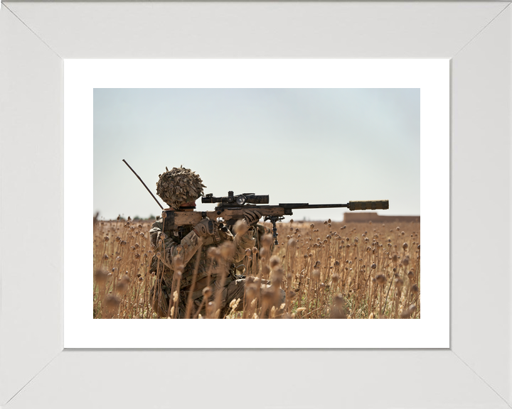 British Army 2 Royal Anglian Sniper L115A3 Helmand May 2014