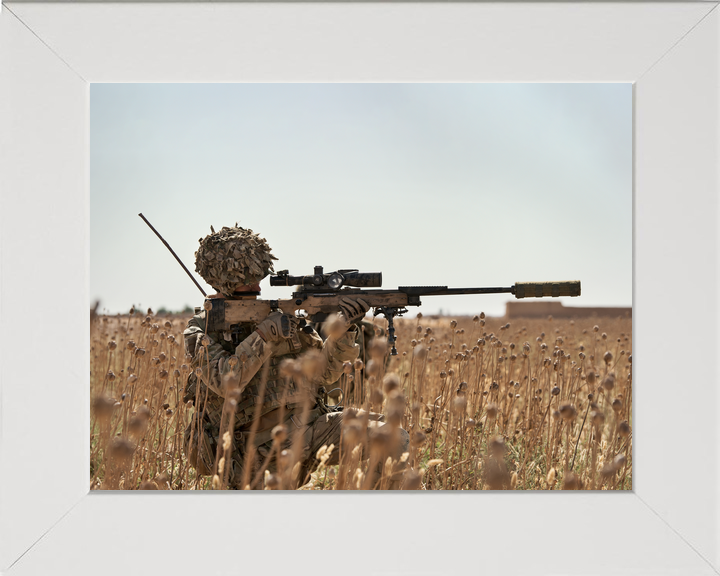 British Army 2 Royal Anglian Sniper L115A3 Helmand May 2014