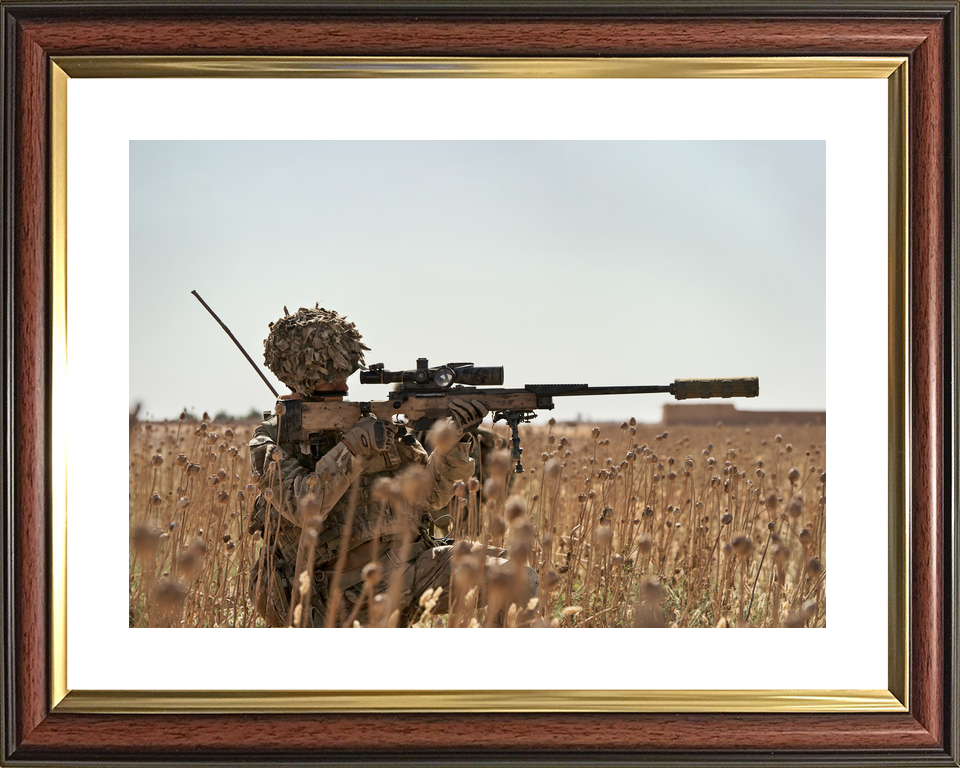 British Army 2 Royal Anglian Sniper L115A3 Helmand May 2014