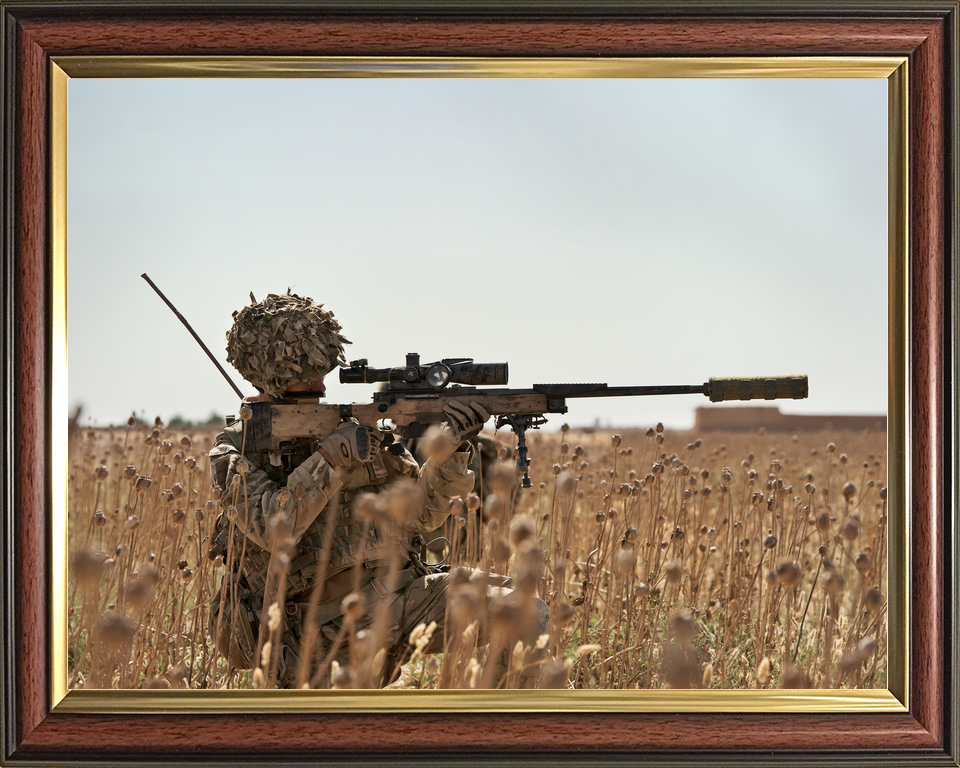 British Army 2 Royal Anglian Sniper L115A3 Helmand May 2014