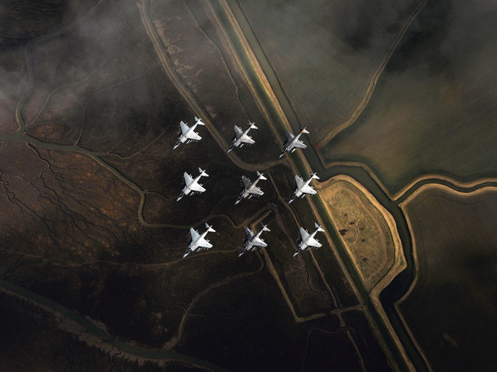 RAF Harrier GR7 Jets in formation Photo Print Royal Air Force Aircraft Wall Art Aviation Decor Posters, Prints, & Visual Artwork Hampshire Prints 6 x 4 No Frame No