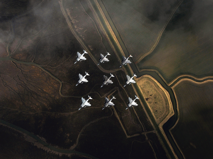 Nine RAF Harrier GR7 Jets in formation Photo Print - Royal Air Force Aircraft Posters, Prints, & Visual Artwork Hampshire Prints 6 x 4 No Frame No