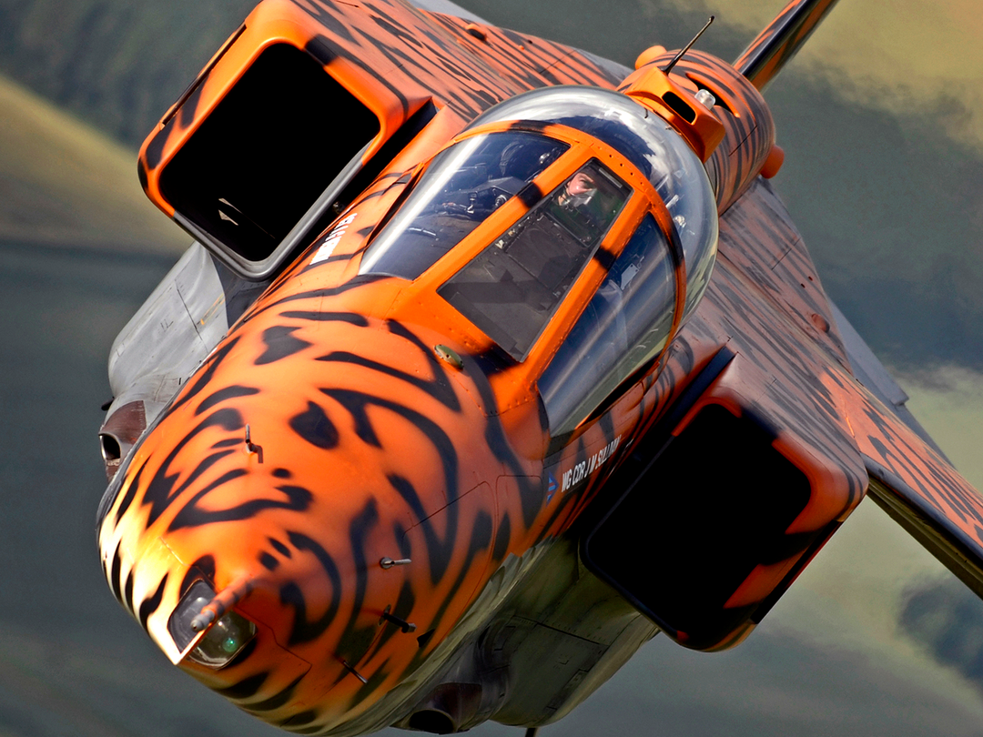 RAF Jaguar Final Flight with special Livery Royal Air Force Aircraft Photo Print Wall Art Aviation Decor UK Posters, Prints, & Visual Artwork Hampshire Prints 6 x 4 No Frame No