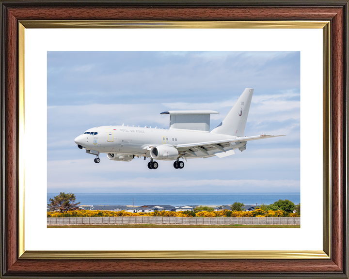 RAF Wedgetail (AEW) Mk1 Aircraft Landing 2026 Photo Print - Posters, Prints, & Visual Artwork - by Hampshire Prints (image 8 of 9)