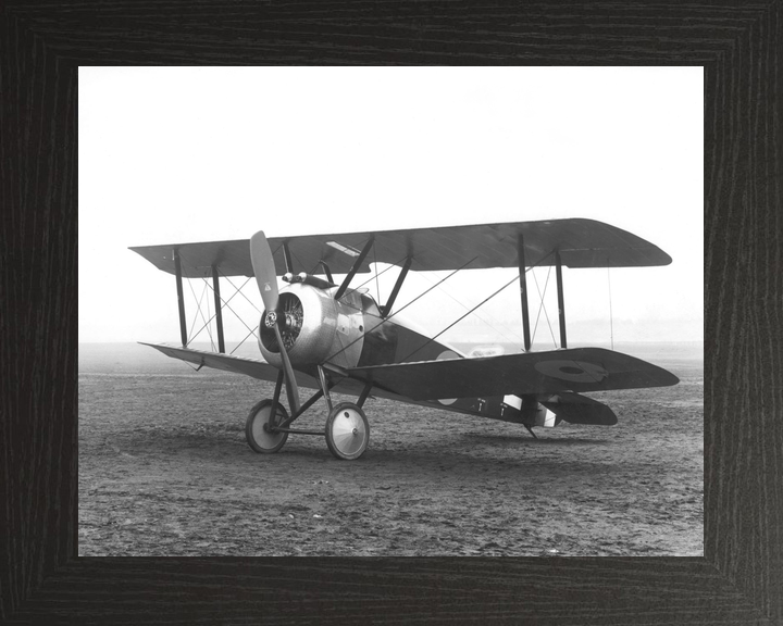 RAF Sopwith Camel Biplane