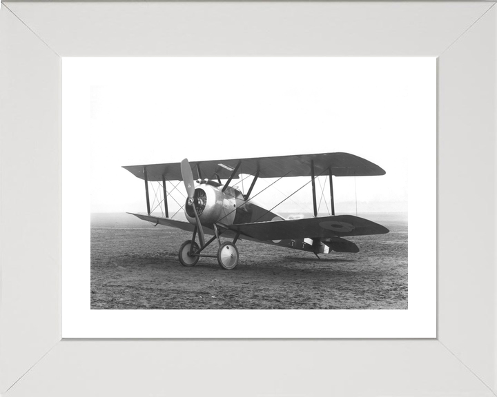 RAF Sopwith Camel Biplane