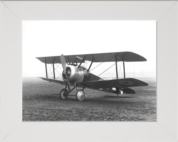 RAF Sopwith Camel Biplane