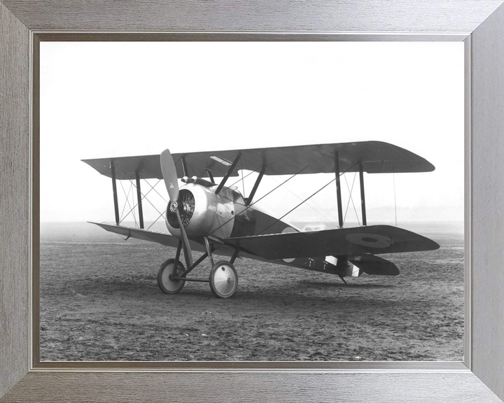 RAF Sopwith Camel Biplane