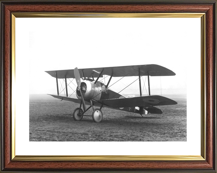 RAF Sopwith Camel Biplane