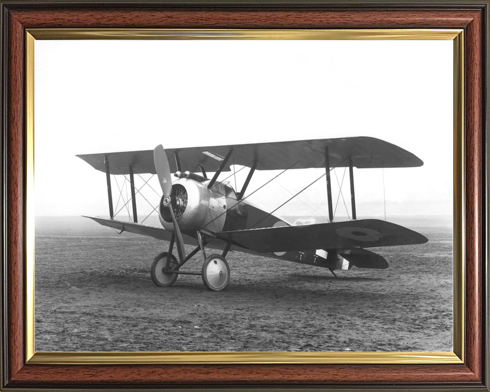RAF Sopwith Camel Biplane