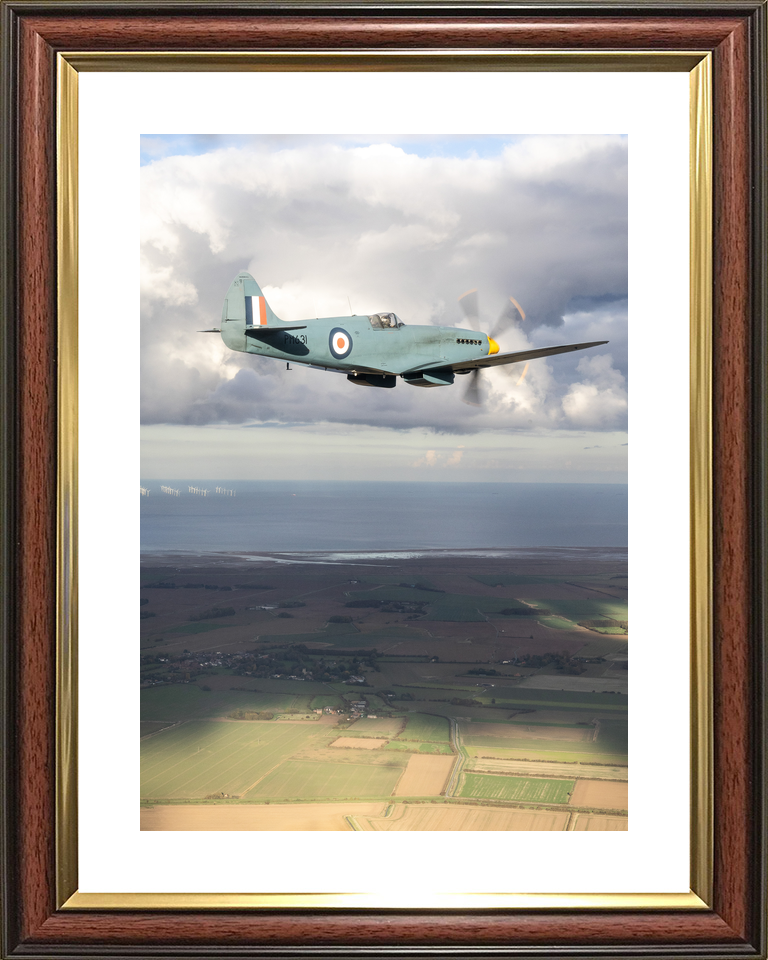 RAF Spitfire Aircraft (BBMF) in Flight 2025