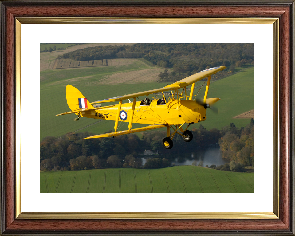 RAF Tiger Moth Aircraft in Flight 2005