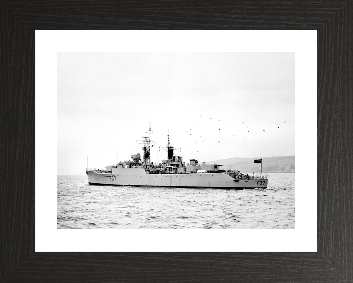 HMS Jaguar F37 Leopard Class Frigate 1959 Photo Print - Posters, Prints, & Visual Artwork - by Hampshire Prints (image 2 of 9)