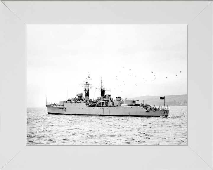 HMS Jaguar F37 Leopard Class Frigate 1959 Photo Print - Posters, Prints, & Visual Artwork - by Hampshire Prints (image 5 of 9)