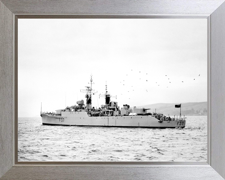 HMS Jaguar F37 Leopard Class Frigate 1959 Photo Print - Posters, Prints, & Visual Artwork - by Hampshire Prints (image 7 of 9)