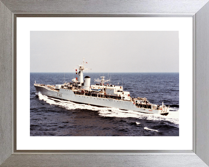 HMS Torquay F43 Whitby Class Frigate July 1982 Photo Print - Posters, Prints, & Visual Artwork - by Hampshire Prints (image 6 of 9)