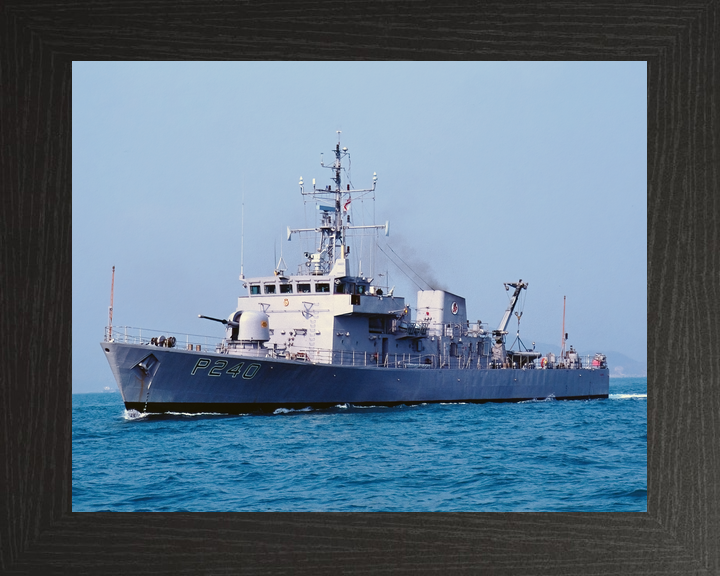 HMS Plover P240 Peacock Class Patrol Vessel November 1995 Photo Print - Posters, Prints, & Visual Artwork - by Hampshire Prints (image 3 of 9)