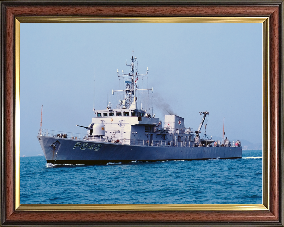HMS Plover P240 Peacock Class Patrol Vessel November 1995 Photo Print - Posters, Prints, & Visual Artwork - by Hampshire Prints (image 9 of 9)