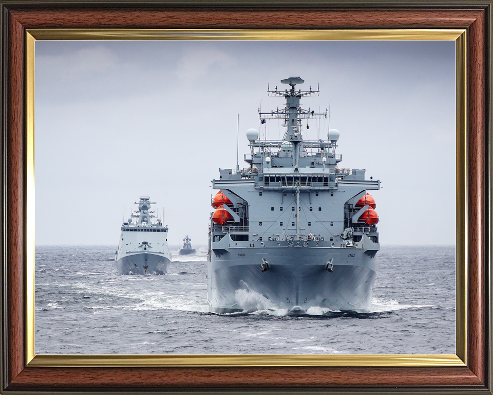 RFA Argus A135 Casualty Class Ship May 2019 Bow View