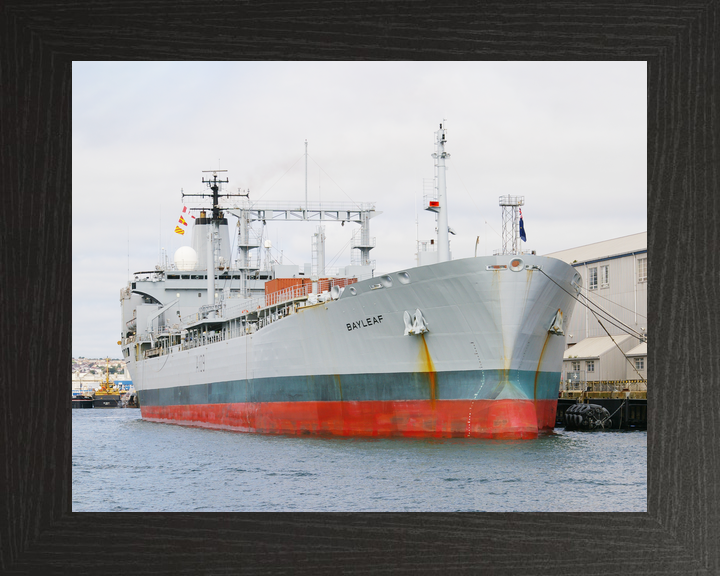 RFA Bayleaf A109 Leaf Class Tanker April 2009 Photo Print - Posters, Prints, & Visual Artwork - by Hampshire Prints (image 3 of 9)