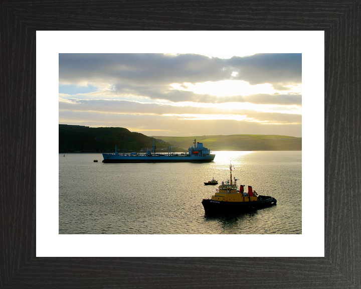 RFA Bayleaf A109 Leaf Class Tanker September 2009 Photo Print - Posters, Prints, & Visual Artwork - by Hampshire Prints (image 2 of 9)