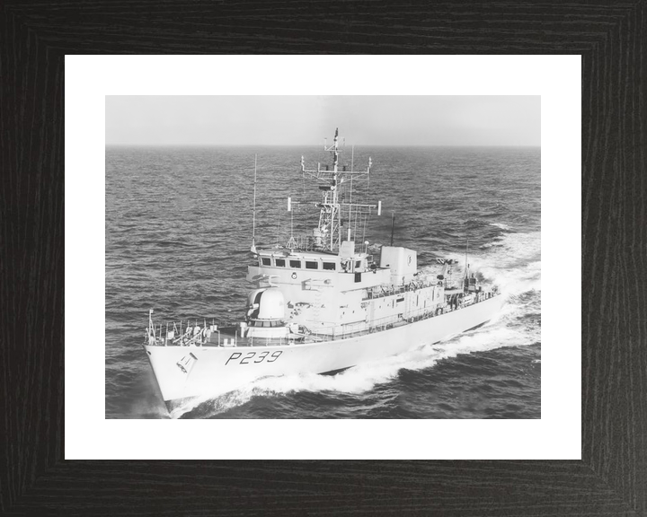 HMS Peacock P239 Peacock Class Patrol Vessel Photo Print - Posters, Prints, & Visual Artwork - by Hampshire Prints (image 2 of 9)