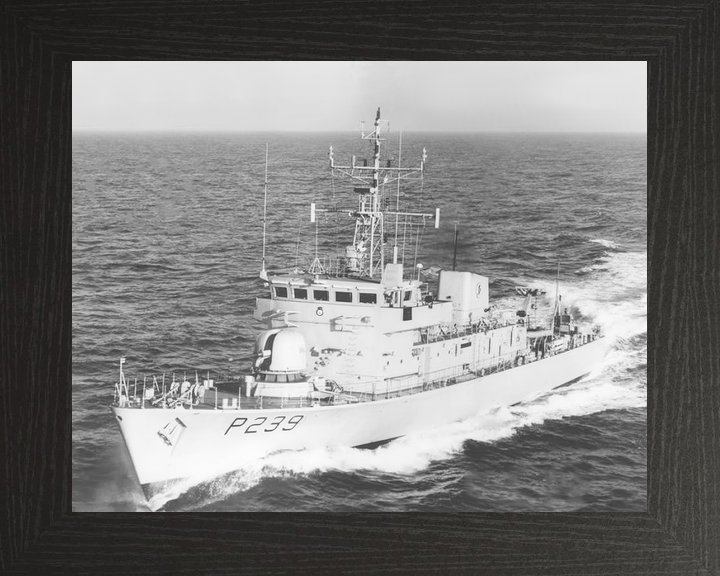 HMS Peacock P239 Peacock Class Patrol Vessel Photo Print - Posters, Prints, & Visual Artwork - by Hampshire Prints (image 3 of 9)