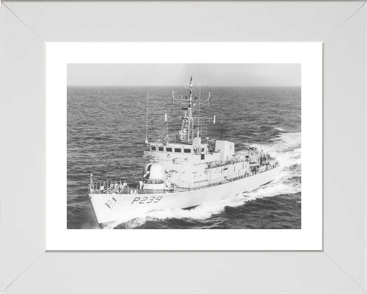 HMS Peacock P239 Peacock Class Patrol Vessel Photo Print - Posters, Prints, & Visual Artwork - by Hampshire Prints (image 4 of 9)