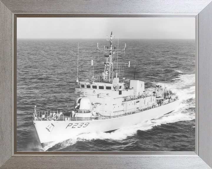 HMS Peacock P239 Peacock Class Patrol Vessel Photo Print - Posters, Prints, & Visual Artwork - by Hampshire Prints (image 7 of 9)