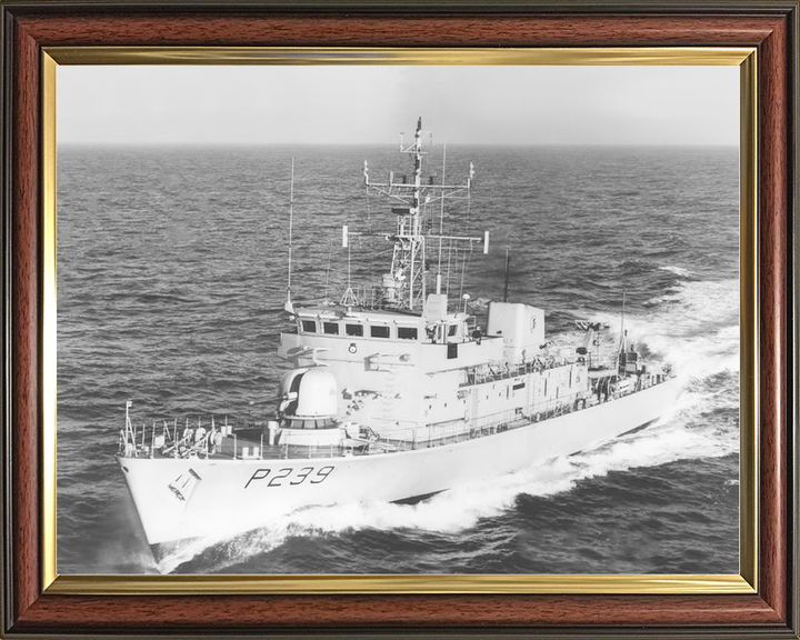 HMS Peacock P239 Peacock Class Patrol Vessel Photo Print - Posters, Prints, & Visual Artwork - by Hampshire Prints (image 9 of 9)
