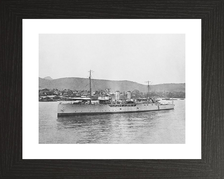 HMS Delphinium (1915) Royal Navy Arabis Class sloop Port Side View Photo Print Wall Art Posters, Prints, & Visual Artwork Hampshire Prints 10 x 8 Black Frame Yes