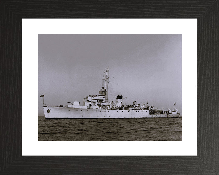 HMS Ready J223 Royal Navy Algerine class minesweeper Photo Print or Framed Print - Hampshire Prints