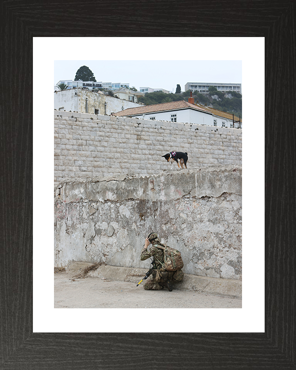 Royal Yeomanry Soldier on Exercise 2022 Photo Print - British Army