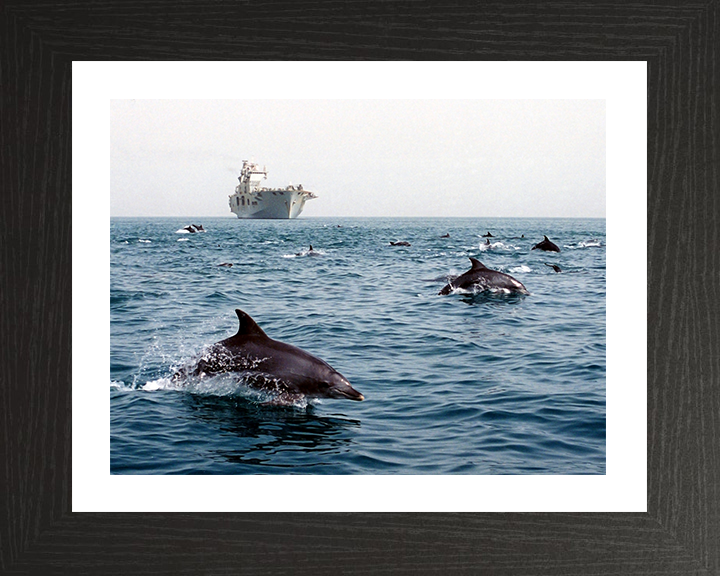 HMS Ocean (L12) Photo Print - With Dolphins 2003 - Royal Navy Landing Platform Helicopter Hampshire Prints 10 x 8 Black Frame Yes