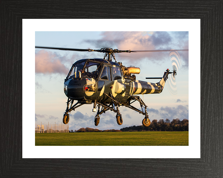 Westland Wasp HAS1 Helicopter in Flight at sunset 2015 Photo Print - Royal Navy Aircraft Posters, Prints, & Visual Artwork Hampshire Prints 10 x 8 Black Frame Yes