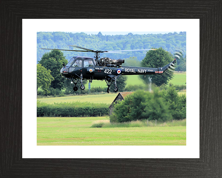 Westland Wasp Helicopter in Flight Photo Print - Royal Navy Aircraft Posters, Prints, & Visual Artwork Hampshire Prints 10 x 8 Black Frame Yes