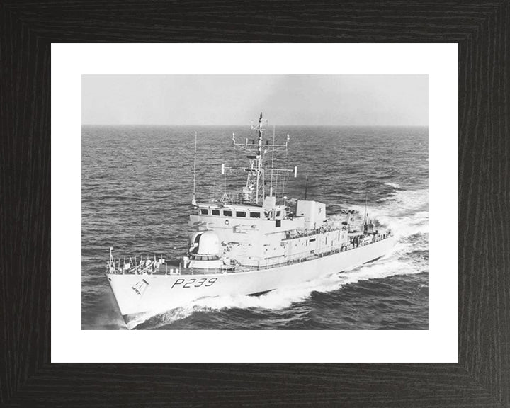 HMS Peacock P239 Royal Navy Peacock Class Patrol Vessel Photo Print or Framed Print - Hampshire Prints