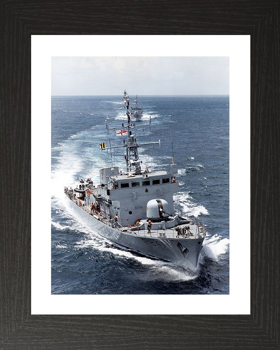 HMS Starling P241 | Photo Print | Framed Print | Peacock Class | Patrol Vessel | Royal Navy Hampshire Prints