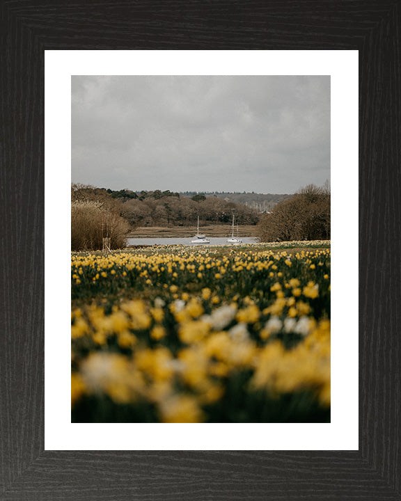 Bucklers Hard Beaulieu Hampshire in spring Photo Print - Canvas - Framed Photo Print - Hampshire Prints