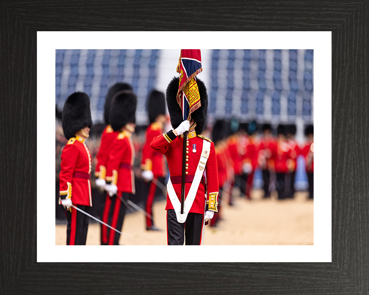 The Ensign of the Coldstream Guards Photo Print - British Army Hampshire Prints 10 x 8 Black Frame Yes