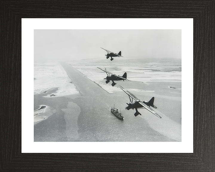 RAF Westland Lysanders over Suez canal 1940 Photo Print - Royal Air Force Aircraft Posters, Prints, & Visual Artwork Hampshire Prints 10 x 8 Black Frame Yes