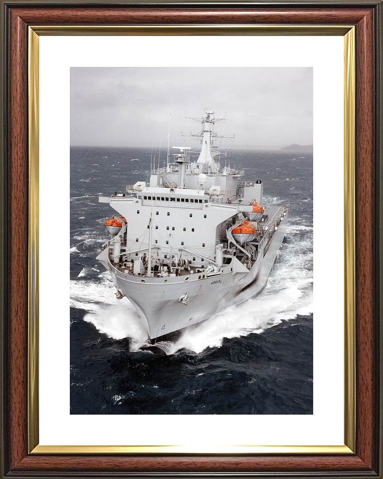 RFA Argus A135 Casualty Class Ship April 2009 At Sea