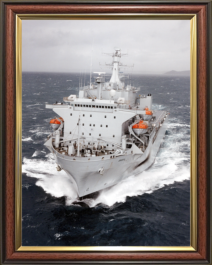 RFA Argus A135 Casualty Class Ship April 2009 At Sea