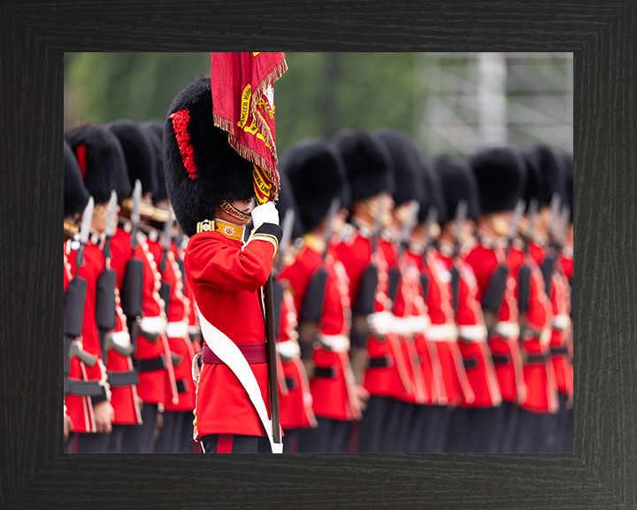 Ensign of the Coldstream Guards on Parade Photo Print - British Army Hampshire Prints 10 x 8 Black Frame No